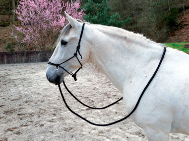 Norton Ethological Headcollar With Reins