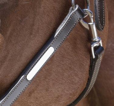Norton Pro Grooming Leather Headcollar
