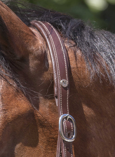 Norton Pro Grooming Leather Headcollar