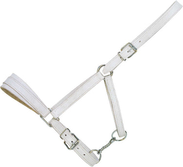 Norton Club Chrome Leather Headcollar
