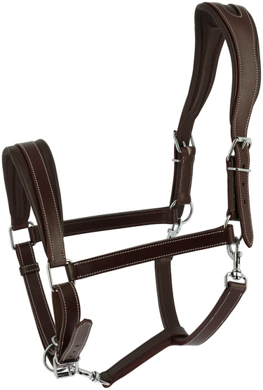 Norton Ardennais Headcollar