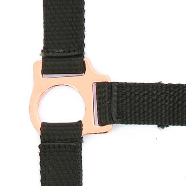 Norton Rose Gold Headcollar & Lead Rope