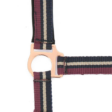 Norton Brilliant Headcollar & Lead Rope