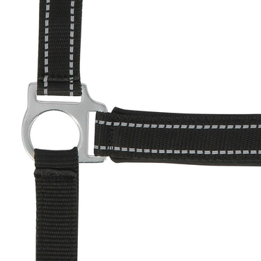 Norton Reflective Headcollar