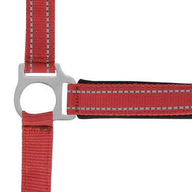 Norton Reflective Headcollar