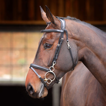 Shires Black Velociti Rapida Training Bridle