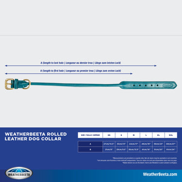 Buy Weatherbeeta Rolled Leather Teal Dog Collar | Online for Equine