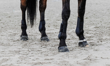 Equithème - Tara - Tendon Boots