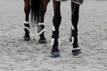Equithème - Boa - Fetlock Boots