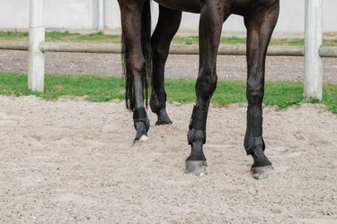 Je T'Aime Equithème Fetlock And Tendon Boots