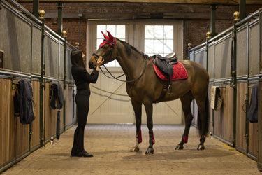 Lami-Cell Elite - Fetlock And Tendon Boots Set