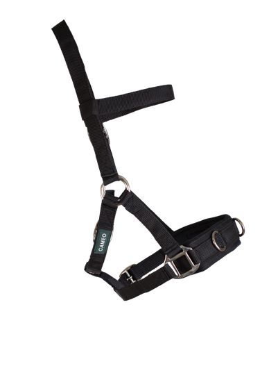 Cameo Equine Pony Lunging Cavesson| Online For Equine