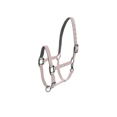 Lami-Cell Midnight Headcollar