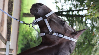 Lami-Cell Midnight  Lead Rope
