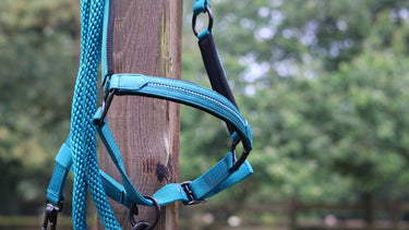 Lami-Cell Charming Lead Rope