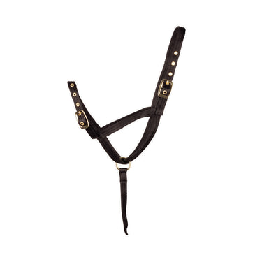 Hy Equestrian Foal Slip Halter