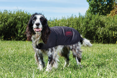 WeatherBeeta Waxed Dog Coat-Brown-65cm