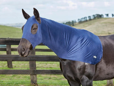 Buy the Weatherbeeta Navy Stretch Hood | Online for Equine