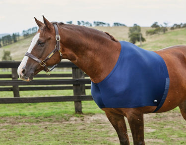 Buy the Weatherbeeta Navy Stretch Shoulder Guard | Online for Equine