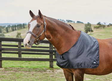 Buy the Weatherbeeta Black Satin Shoulder Guard | Online for Equine