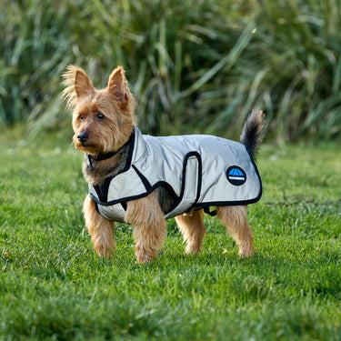 Weatherbeeta Comfitec Reflective Showerproof Dog Coat