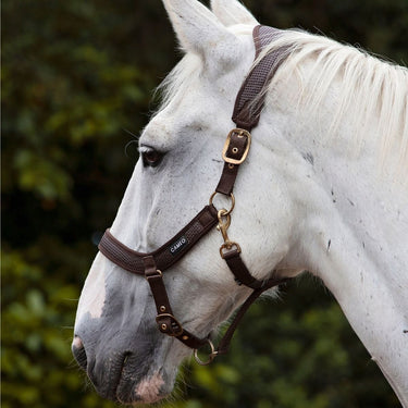 Cameo Equine Brown Anatomic Headcollar