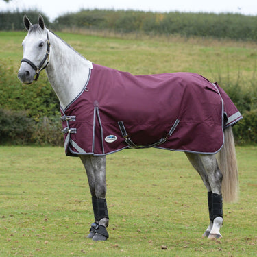 Buy the WeatherBeeta ComFiTec Plus Dynamic II 220g Mediumweight Standard Neck Turnout | Online for Equine