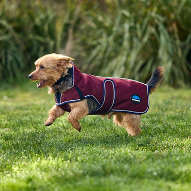 Weatherbeeta Comfitec Premier Deluxe Waterproof Dog Coat Burgundy/ Navy