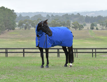 Weatherbeeta Comfitec Essential Turnout Combo 220G Cobalt/ Black
