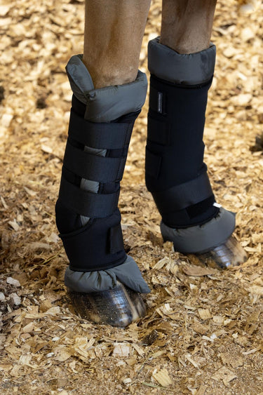 Hy Equestrian Stable Protection Boot