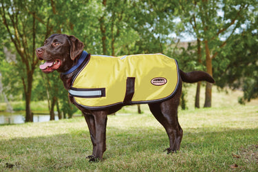 Buy WeatheBeeta Reflective Parka 300D Dog Coat| Online for Equine