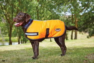 Buy WeatheBeeta Reflective Parka 300D Dog Coat| Online for Equine
