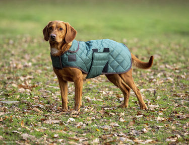 Buy Digby & Fox Heritage Dog Coat| Online for Equine