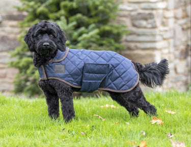 Digby & Fox Heritage Dog Coat