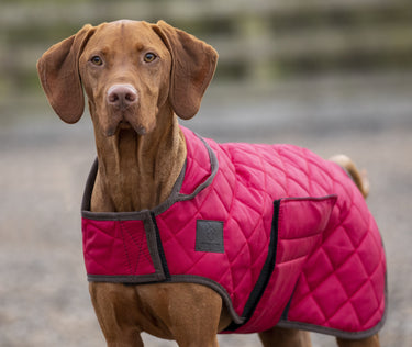 Buy Digby & Fox Heritage Dog Coat| Online for Equine
