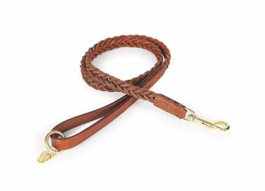 Digby & Fox Tan Plaited Dog Lead