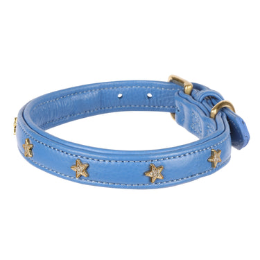 Buy Digby & Fox Star Dog Collar | Online for Equine