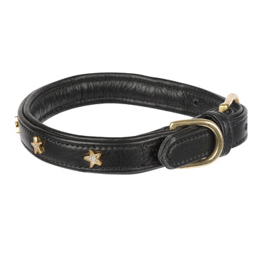 Buy Digby & Fox Star Dog Collar | Online for Equine