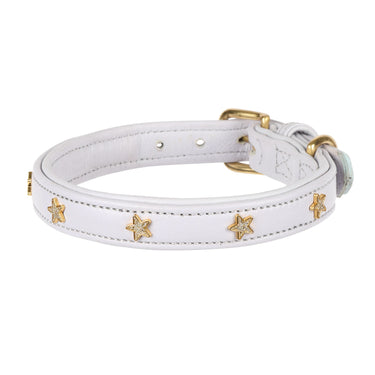 Buy Digby & Fox Star Dog Collar | Online for Equine