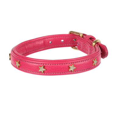 Buy Digby & Fox Star Dog Collar | Online for Equine