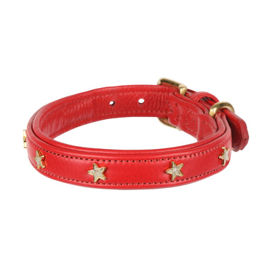 Buy Digby & Fox Star Dog Collar | Online for Equine