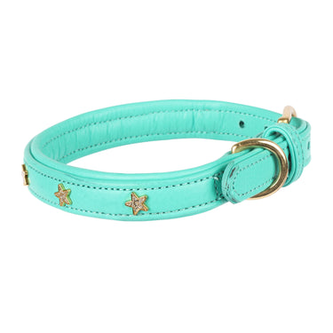 Buy Digby & Fox Star Dog Collar | Online for Equine