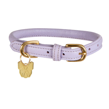 Buy Digby & Fox Rolled Leather Dog Collar | Online for Equine
