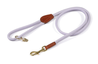 Buy Digby & Fox Rolled Leather Dog Lead | Online for Equine