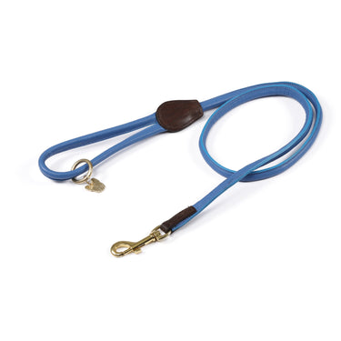 Buy Digby & Fox Rolled Leather Dog Lead | Online for Equine
