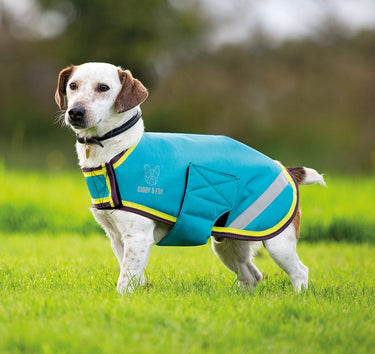 Buy Digby & Fox Waterproof Dog Coat | Online for Equine