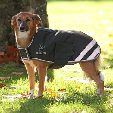 Digby & Fox Green Waterproof Dog Coat