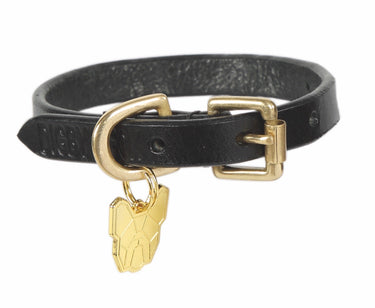 Buy Digby & Fox Flat Leather Dog Collar | Online for Equine