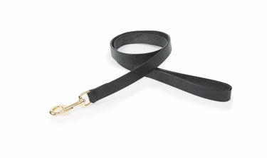 Buy Digby & Fox Flat Leather Dog Lead | Online for Equine