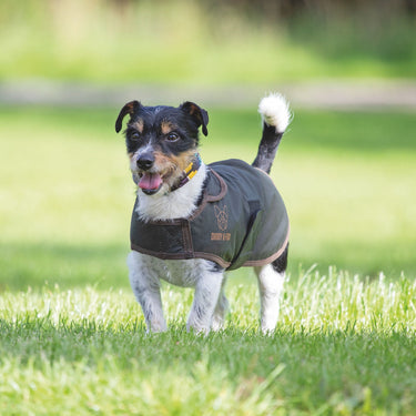 Buy Digby & Fox Wax Coat | Online for Equine